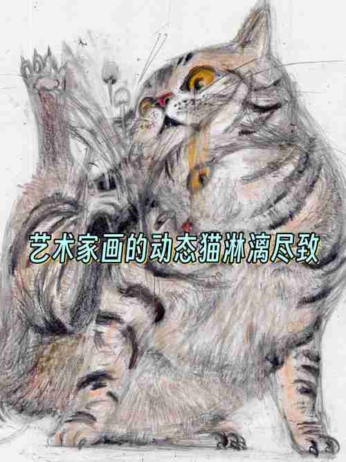 在艺术领域大放异彩