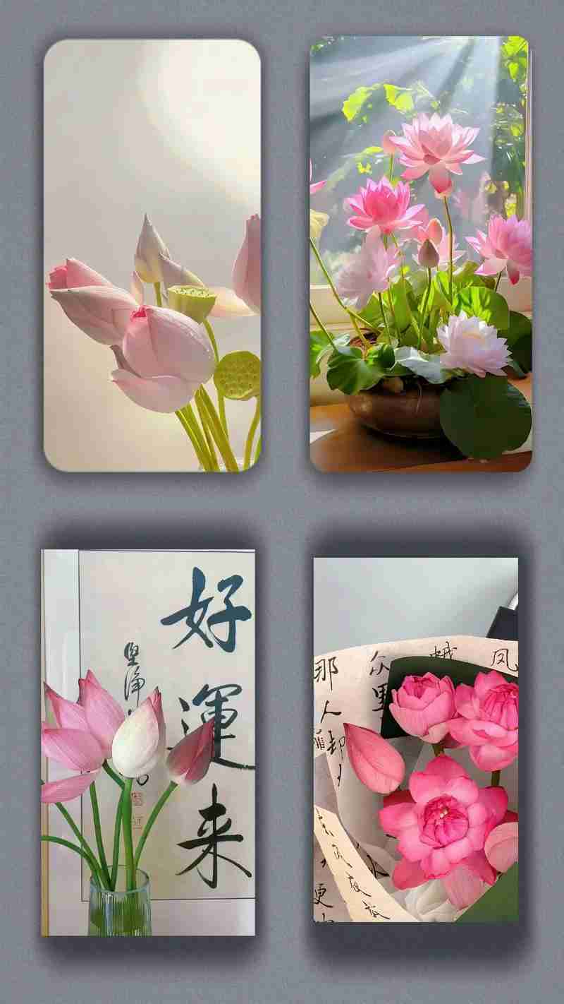 学会幸运技巧，好运连连挡不住