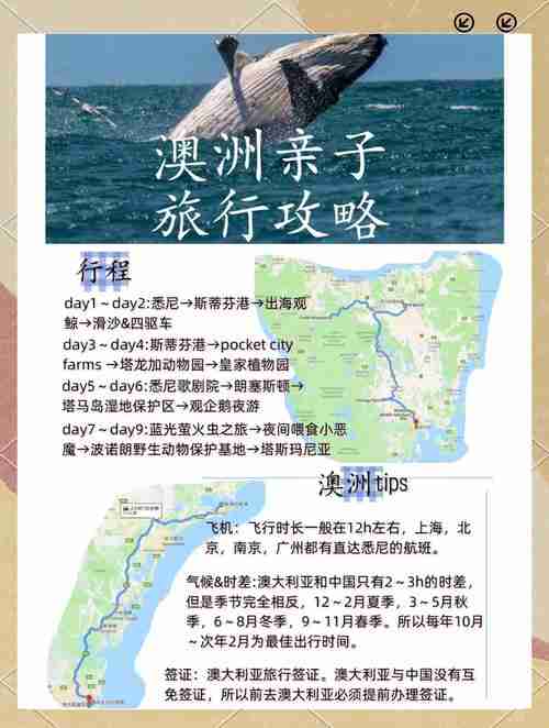 澳洲技巧大揭秘：落地必看生存指南