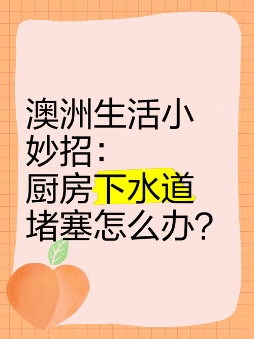 生活难题_澳洲妙招怎么破_高效方案实测